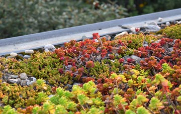 the cost of Bellerby green roof installation