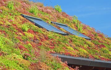Bellerby living roof systems